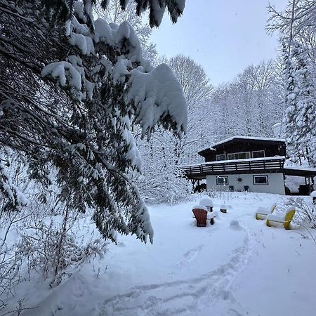 Chalet Dans Les Arbres. 3 Ch. /Trees House 3Bdr Lac Sainte-Marie Eksteriør bilde